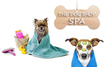 Περιποίηση σκύλων, The Dog Shop. Καλλωπισμός και περιποίηση σκύλων. 