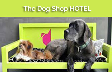 Περιποίηση σκύλων, The Dog Shop. Καλλωπισμός και περιποίηση σκύλων. 