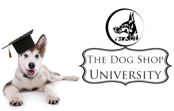 Εκπαίδευση σκύλων, The Dog Shop. Εκπαιδεύστε σωστά τον σκύλο σας.