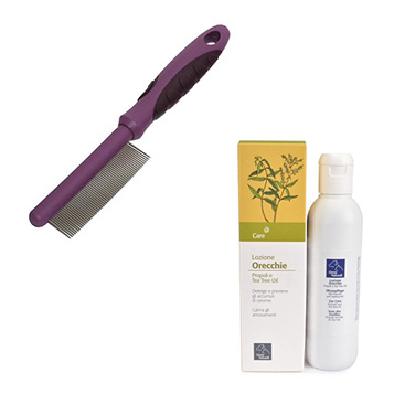 ΠΡΟΣΤΑΣΙΑ - ΦΡΟΝΤΙΔΑ