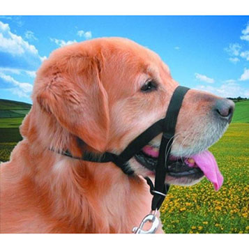 Περιλαίμιο Easy Leader - ΝΟΒΒΥ