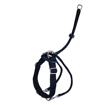 Εκπαιδευτικό Easy Walker