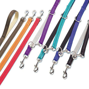 Οδηγός σκύλου.