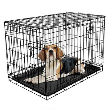 Μεταλλικό κλουβί - Glee