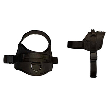 Στηθόλουρο REX - GAPPAY