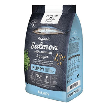 Go Native - Salmon puppy