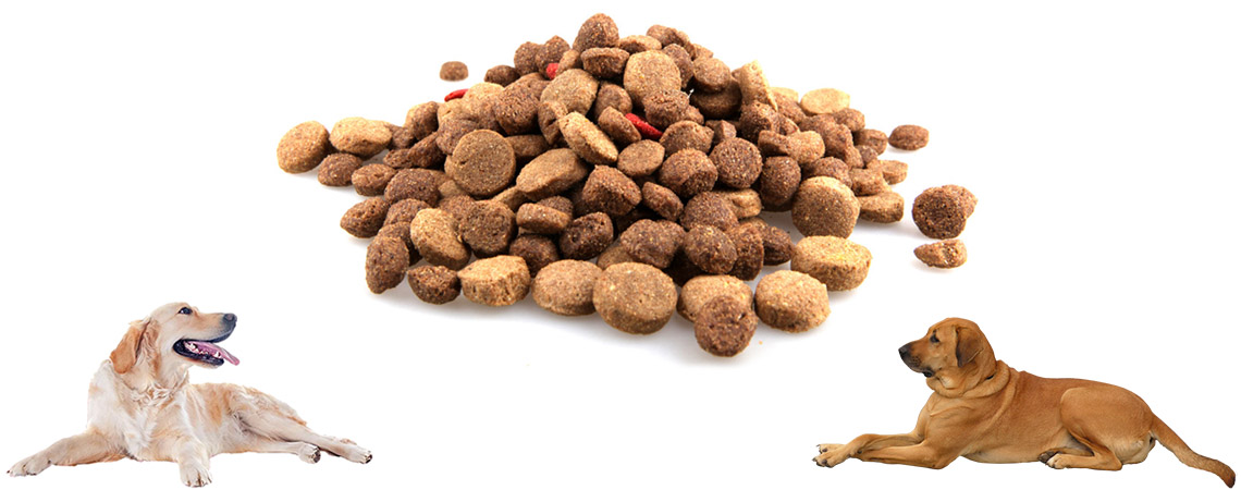 Ξηρά τροφή για σκύλους - The Dog Shop.